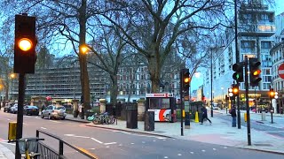 Pelican Crossing Mellor Traffic Lights on Grosvenor Gardens Victoria London [upl. by Shamma]