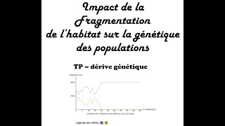 TES  Dérive génétique  TP [upl. by Hamal]