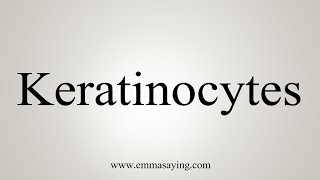 How To Say Keratinocytes [upl. by Erdnaet]