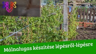 Málnalugas készítése  A málna termesztése és gondozása így a leghatékonyabb [upl. by Aicetal]