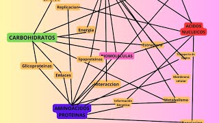 Red Asociativa de Ideas de Biomoléculas YENSI TAMAYO MORALES [upl. by Ylrae232]
