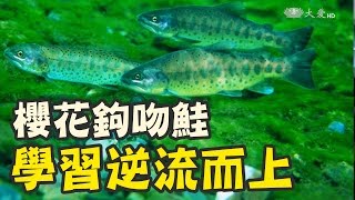 看見台灣之美 培養對土地的感情 [upl. by Glantz77]