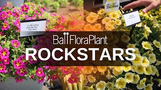 You need these 5 plants in your grower program  BFP Rockstars [upl. by Eniksre]