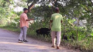 झोला फेक दिया  Jhola Fek Diya  jhola prank funnyprank prankvideo newprank2024 [upl. by Suqram]