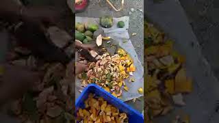 pumpkins and papayas skye joerogan trump food pig [upl. by Alac]