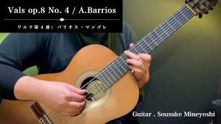 Vals op8 No 4  Agustin Barrios Mangore Classical guitar [upl. by Dranrev]