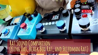 RAT Sound Comparison Mosky King Rat Black Box Rat Capture RatFriedman Amp Capture [upl. by Nadda]