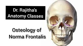 Osteology of Norma Frontalis by Dr Rajitha Vanga [upl. by Ydoj]