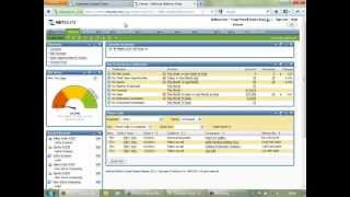 NetSuite Overview [upl. by Aiouqes369]