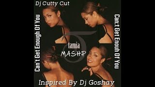 Tamia  Cant Get Enough  EGGPLANT MASHUP Dj Cutty Cut [upl. by Anselma203]