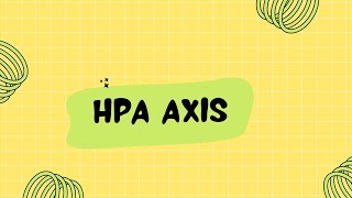 HPA axis  HypothalamusPituitaryAdrenal Axis  What is the role of HPA axis in stress [upl. by Hefter]