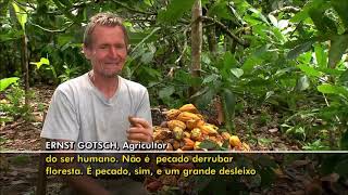 Ernest Götsch globo rural em agricultura Sintrópica [upl. by Sadira901]