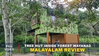 Tree hut inside forest review  wayanad tree hut stay  wayanad resorts malayalam review [upl. by Nayar]