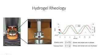 Hydrogel Characterization Lecture [upl. by Asina]