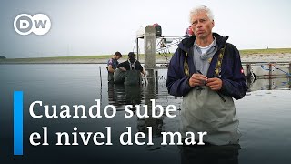 Cambio climático Países Bajos protege su litoral  DW Documental [upl. by Cyrano218]