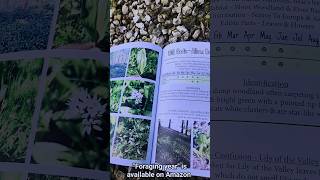 Foraging in May UK Monthly Calendar amp Field Guide foraging uk [upl. by Boorer]