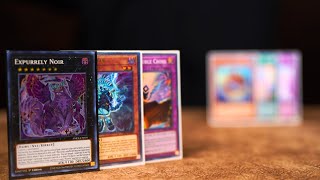 This Actually Works Purrely Spright DECK PROFILE amp COMBOS  Post Banlist June 2023 YuGiOh [upl. by Dygal647]