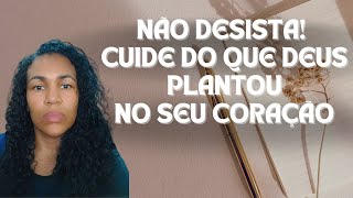 Não desista Cuide do que Deus plantou no seu coração planosdedeus deusnasuavida [upl. by Aiym]