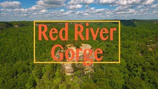 Red River Gorge Kentucky Drone Video [upl. by Longtin]