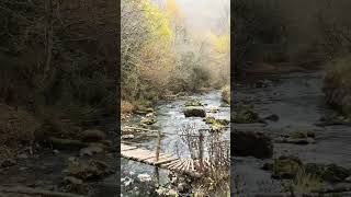 Utočište PrirodeZvuci Reke i ŠumePrirodna Harmonijaautumn river jesen priroda shortvideo [upl. by Lubeck]