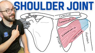 Anatomy of the Shoulder Joint  Bones Ligaments and Muscles [upl. by Aniat]