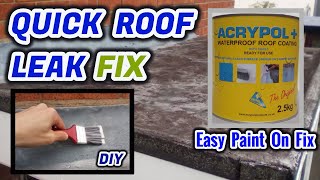 Quick Roof Leak Fix You NEED To Know  Choose Acrypol DIY [upl. by Ateerys781]