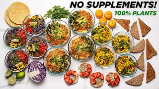 Fit Vegan Meal Prep 150g Protein No Supplements [upl. by Godspeed]