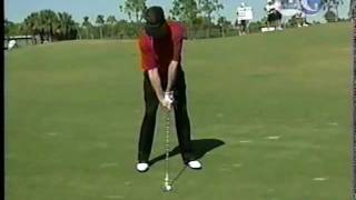 Bruce Lietzke Golf Swing  5 iron [upl. by Ahsats557]