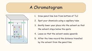 Thin Layer Chromatography TLC [upl. by Sherborne]