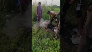 16hp diesel engine start up with tubewell agriculture fun shorts [upl. by Chura447]