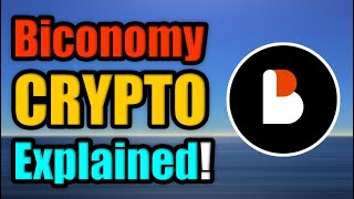 What is Biconomy  BICO Cryptocurrency Explained [upl. by Lanti544]