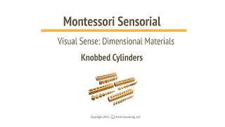 Montessori Sensorial 0201 Knobbed Cylinders  A [upl. by Eidnam71]