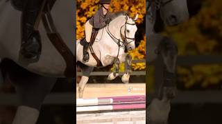 Who’s excited for Maclay Finals horse equestrianjourney [upl. by Catriona782]