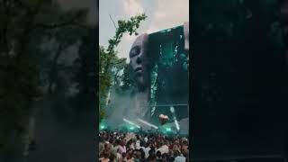 shots shortvideo electronicmusic tomorrowland tomorrowland2024 djborinq djs festival dj [upl. by Kaspar]