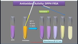 Antioxidant Assay Principle amp Process DPPH amp H2O2 Dr Bhushan P Pimple [upl. by Deloris]