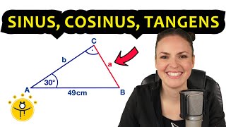 ALLES über Sinus Cosinus Tangens – Erklärung Trigonometrie Dreieck Winkel [upl. by Omixam939]