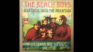 The Beach BoysBluebirds Over The Mountain [upl. by Repard]