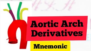 Aortic Arches Derivatives Mnemonic  MedSurvival [upl. by Zebapda]