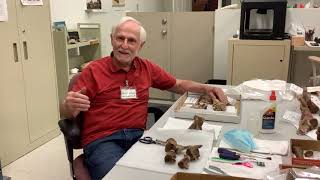 The Ologist Series Paleontology with Dr Steve Rowland [upl. by Alil]