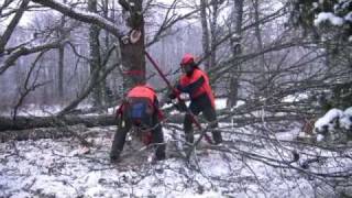 Manuell fällning efter ledningsgata del1 [upl. by Guild945]