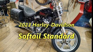 2023 Softail Standard [upl. by So]