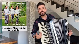 ★★ Marcelo Voninho  Barquinha de Ouro A história da música★★ [upl. by Monda]