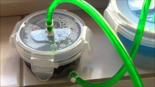 Self made canister filter external filter works  Selbstgebauter Aquarienfilter in Betrieb [upl. by Maitund]