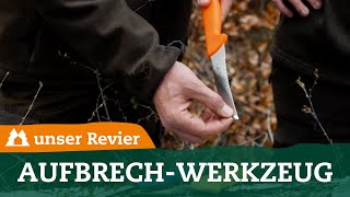 Werkzeug zum Aufbrechen I Jagdmesser I Aufbrechsäge I Jagdausrüstung I unser Revier I 31 [upl. by Pedrick]