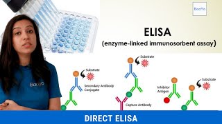 Direct ELISA  Basics Explained [upl. by Almat]