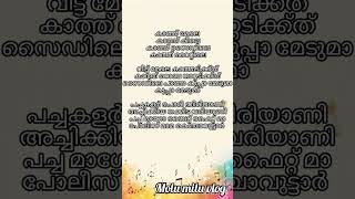 kathu mele song lyrics [upl. by Notlrac]