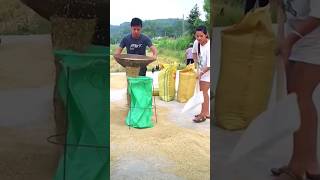 The method of quickly loading grain into a bag in action [upl. by Wons]