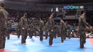 Taekwondo display by the Korean army at the 2013 Hammadang [upl. by Esoj]