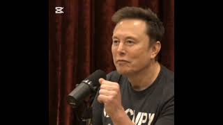 Joe Rogan amp Elon Musk explain why Hollywood votes Democrat [upl. by Adirahs]