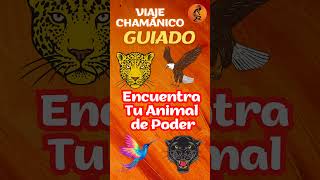 ¿CUAL ES TU ANIMAL DE PODER Descubrelo Viaje Chamánico Guiado con Tambor y Voz [upl. by Rheta14]